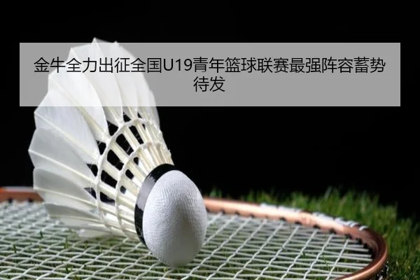 金牛全力出征全国U19青年篮球联赛最强阵容蓄势待发